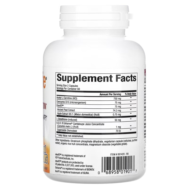 Natural Factors, RegenerLife, Optimize Mitochondrial Function, 120 Vegetarian Capsules